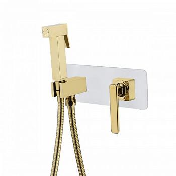 Смеситель с гигиеническим душем встраиваемый Mista (LM6419WG) Lemark