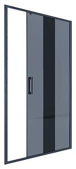 Душевая дверь в нишу AB64B120 120*200 Alex Baitler