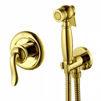 Смеситель с гигиеническим душем, встраиваемый Brava (LM4719G) Lemark