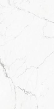Керамогранит Elegant Statuario GT Белый 60*120  Global Tile
